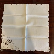 Cover image of  Napkin